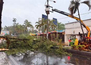 Alcaldía de Ibagué atiende afectaciones por precipitaciones al sistema de alumbrado público