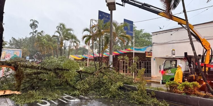 Alcaldía de Ibagué atiende afectaciones por precipitaciones al sistema de alumbrado público