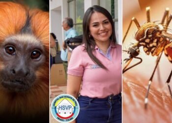 !Preocupación en el sur del Tolima! Si el mono hallado muerto en Purificación da positivo, se intensificará la vacunación