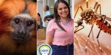 !Preocupación en el sur del Tolima! Si el mono hallado muerto en Purificación da positivo, se intensificará la vacunación