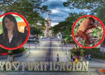 Investigan posible circulación de fiebre amarilla cerca de colegios en Purificación tras primate muerto