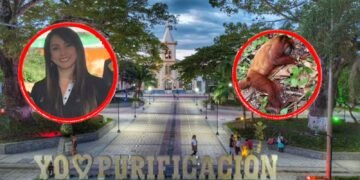 Investigan posible circulación de fiebre amarilla cerca de colegios en Purificación tras primate muerto