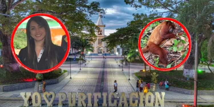 Investigan posible circulación de fiebre amarilla cerca de colegios en Purificación tras primate muerto