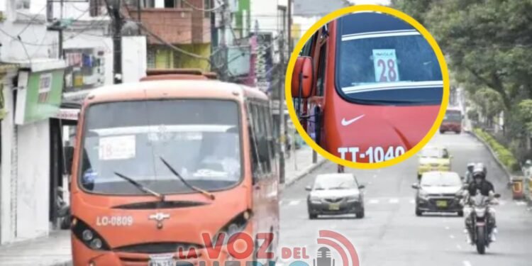 “Al pueblo siempre le dan en la cabeza”: habitantes de Gualanday denuncian que la ruta 28 los dejó a pie