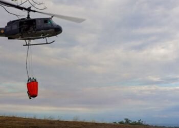 Seleccionados jóvenes de la UT en programa para cuidar los bosques del departamento