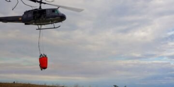 Seleccionados jóvenes de la UT en programa para cuidar los bosques del departamento