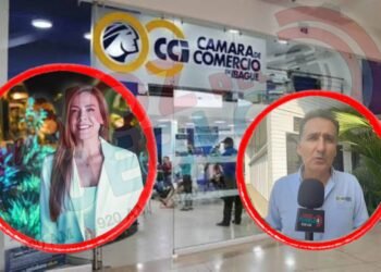 CCI ratifica nombramiento de Victoria Castillo como presidente ejecutiva