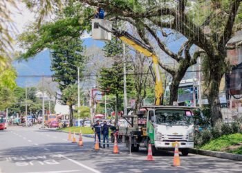 Alcaldía de Ibagué inició instalación de alumbrado navideño sobre la carrera Quinta