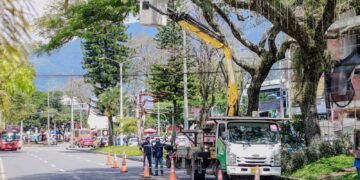 Alcaldía de Ibagué inició instalación de alumbrado navideño sobre la carrera Quinta
