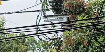 Ibagué mantiene monitoreo ante riesgos de incendios y hace llamado al uso responsable del agua
