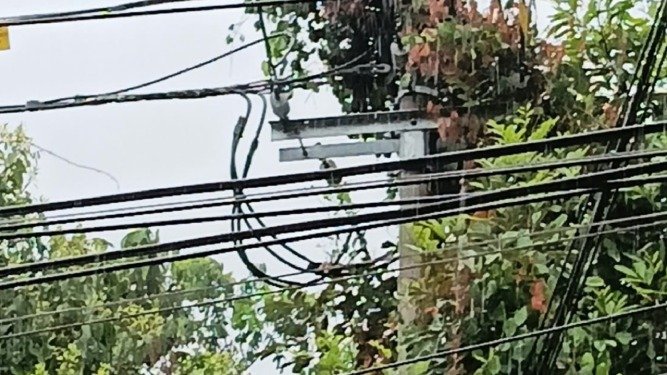 Ibagué mantiene monitoreo ante riesgos de incendios y hace llamado al uso responsable del agua