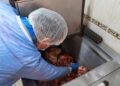 Cerraron dos establecimientos de venta de carnes en alrededores de la 21