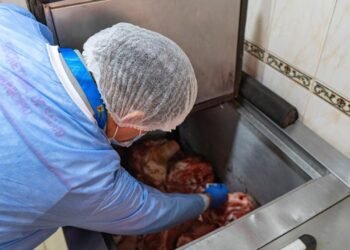 Cerraron dos establecimientos de venta de carnes en alrededores de la 21