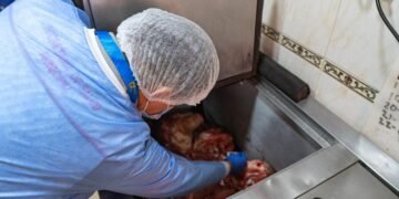 Cerraron dos establecimientos de venta de carnes en alrededores de la 21
