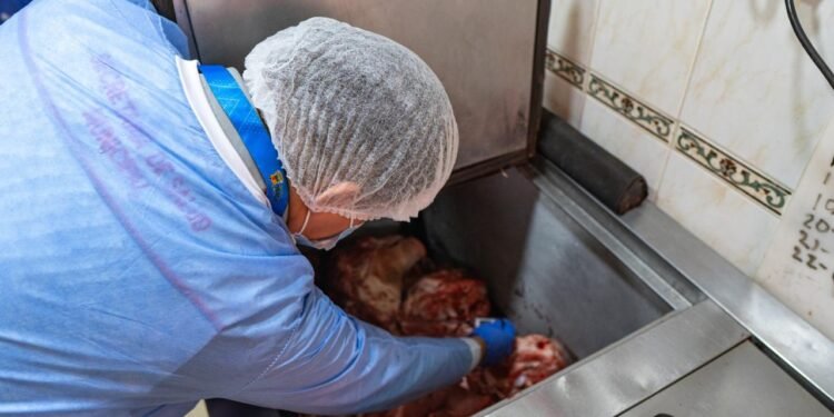 Cerraron dos establecimientos de venta de carnes en alrededores de la 21