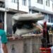 Alcaldía de Ibagué mantendrá operativos de recuperación del espacio público en la Plaza de la 21