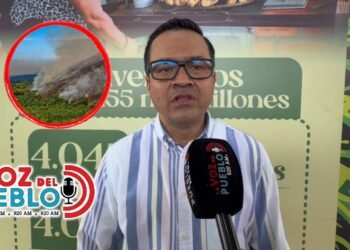 ¡Ni la basura de la casa se puede quemar! Cortolima adelanta procesos sancionatorios ante la Fiscalía